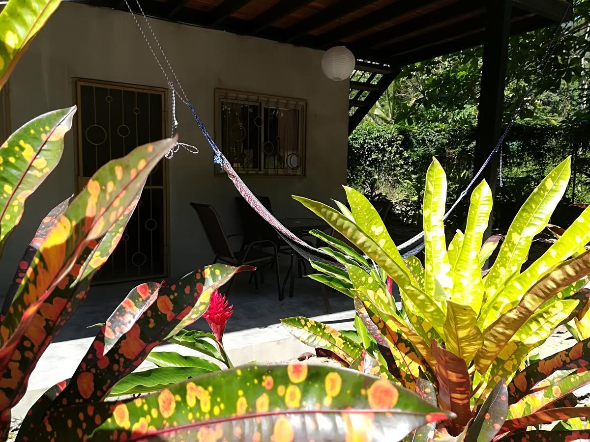 Shakti Playa Santa Teresa (Puntarenas) Exterior foto